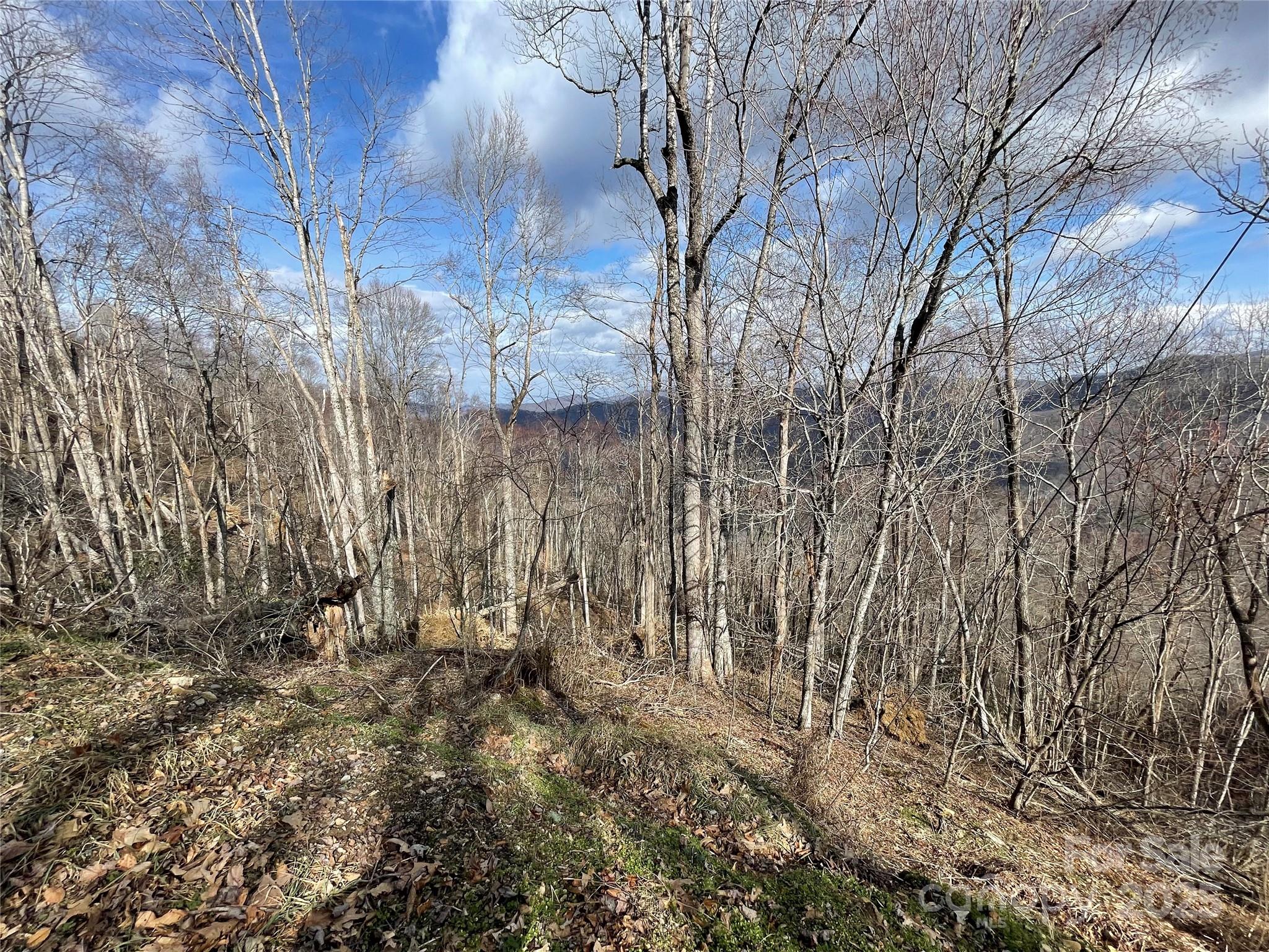 Lot #39 Ridge Top Circle Clyde, NC 28721 - Photo 29 of 35 a view of lots of trees