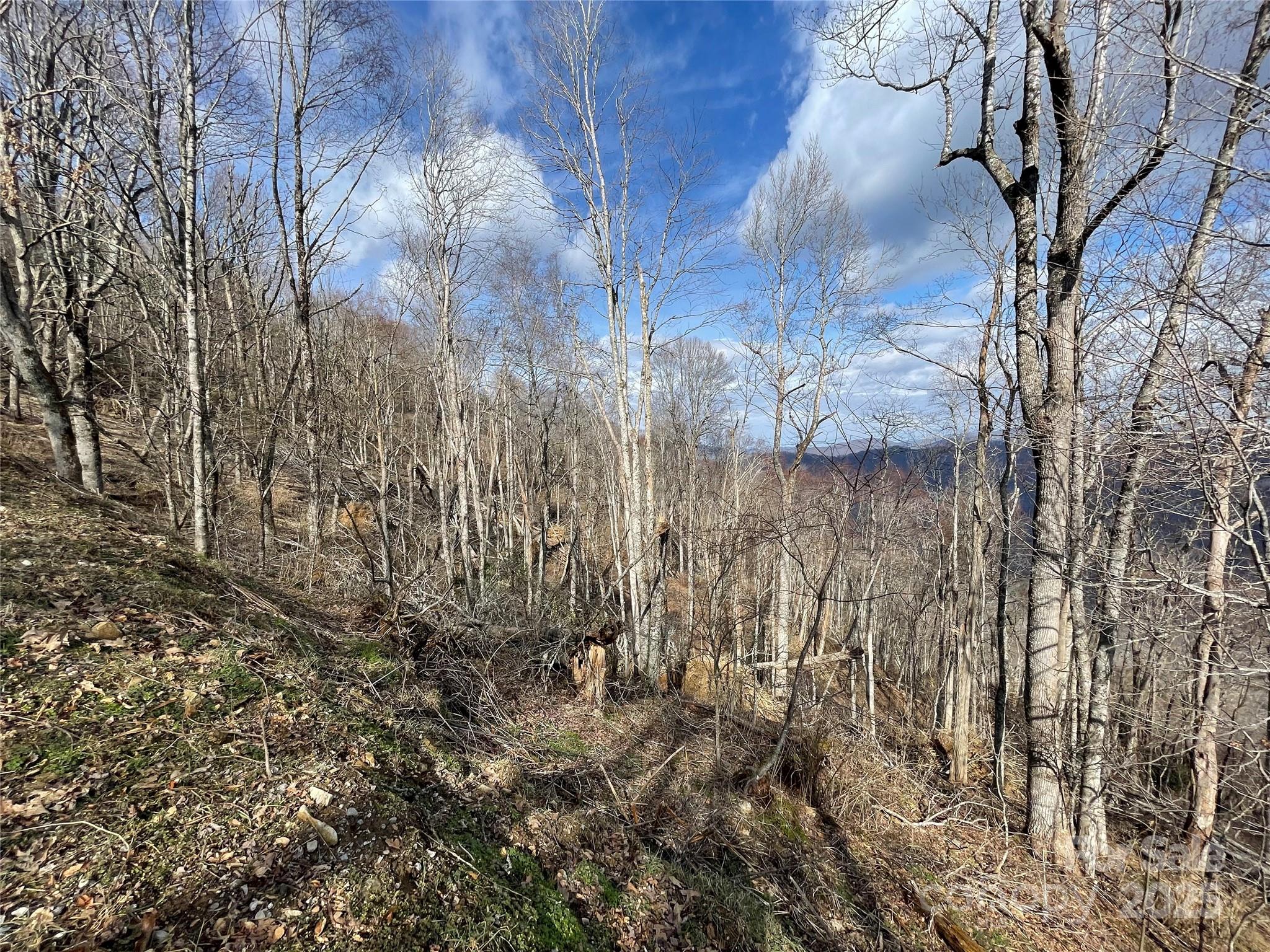 Lot #39 Ridge Top Circle Clyde, NC 28721 - Photo 30 of 35 a view of a backyard of the house