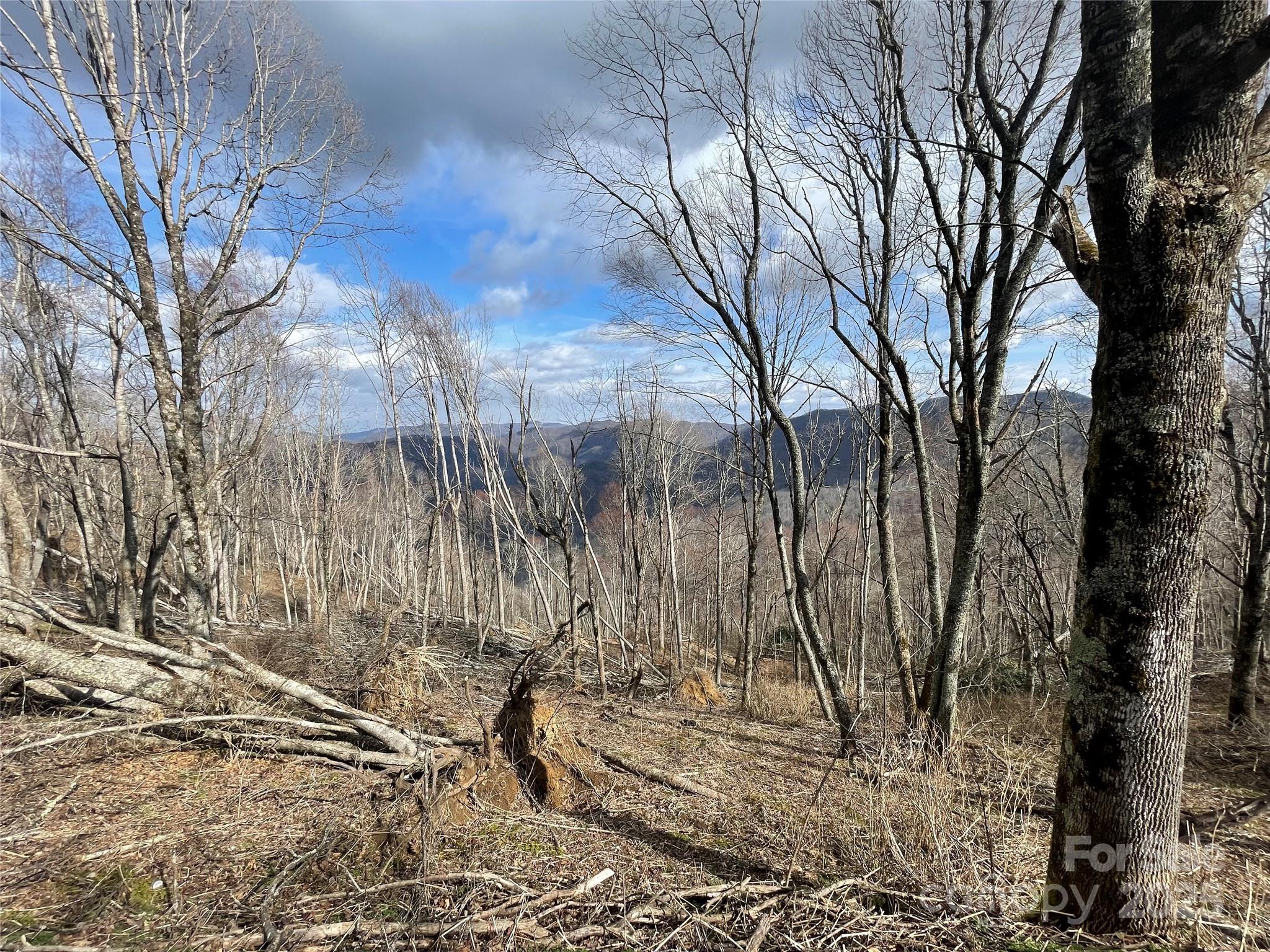 Lot #39 Ridge Top Circle Clyde, NC 28721 - Photo 3 of 35 a backyard of a house with large trees
