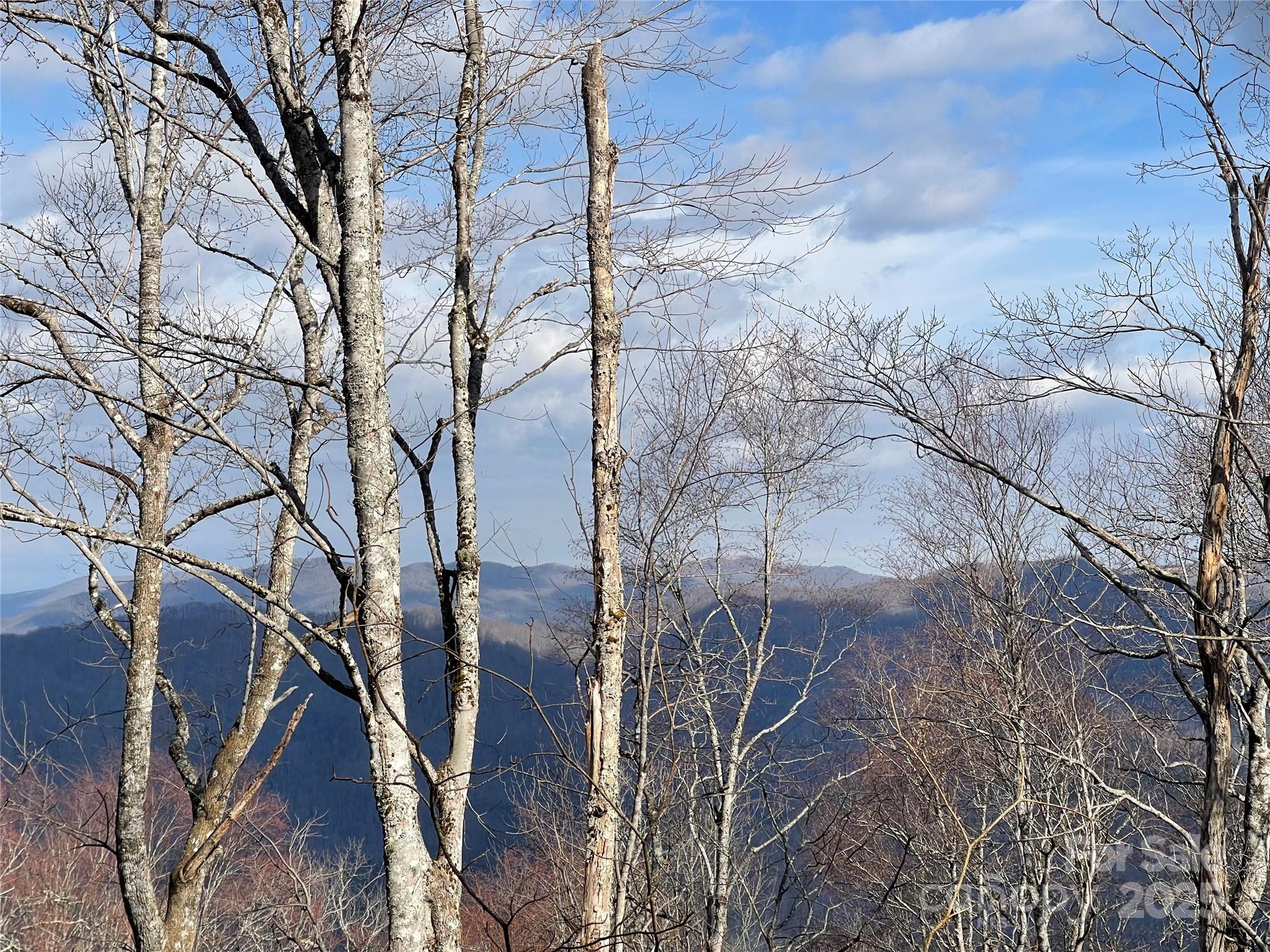 Lot #39 Ridge Top Circle Clyde, NC 28721 - Photo 31 of 35 a view of a forest with lots of trees