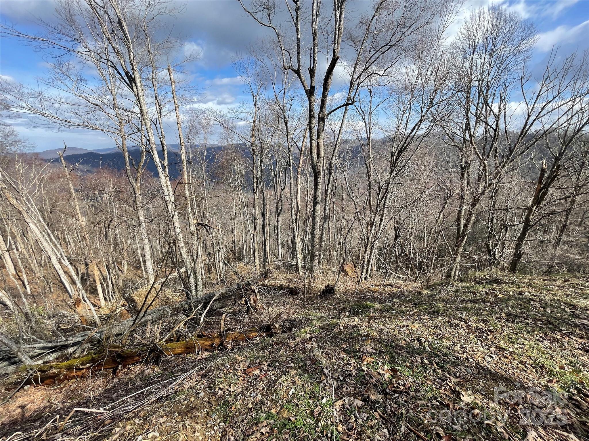 Lot #39 Ridge Top Circle Clyde, NC 28721 - Photo 32 of 35 a view of a yard with trees