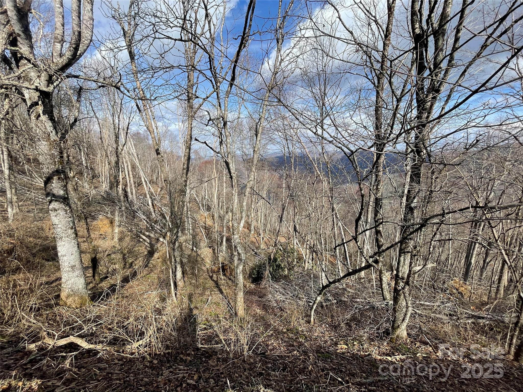 Lot #39 Ridge Top Circle Clyde, NC 28721 - Photo 33 of 35 a backyard of a house with lots of green space
