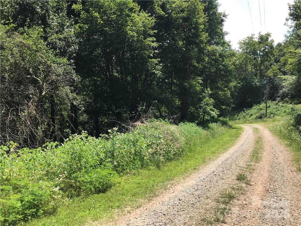 Lot #39 Ridge Top Circle Clyde, NC 28721 - Photo 6 of 35 a view of a park with large trees
