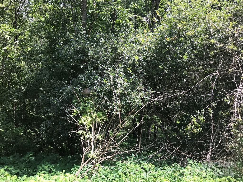 Lot #39 Ridge Top Circle Clyde, NC 28721 - Photo 7 of 35 a view of forest