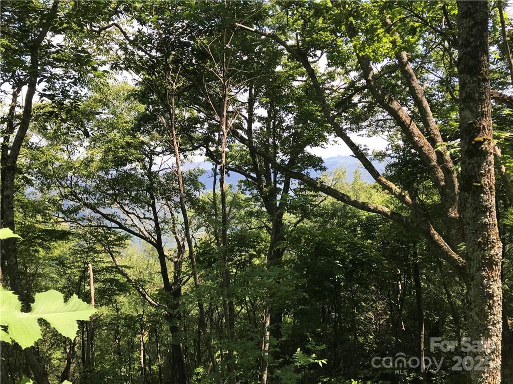 Lot #39 Ridge Top Circle Clyde, NC 28721 - Photo 9 of 35 a backyard of a house with lots of trees