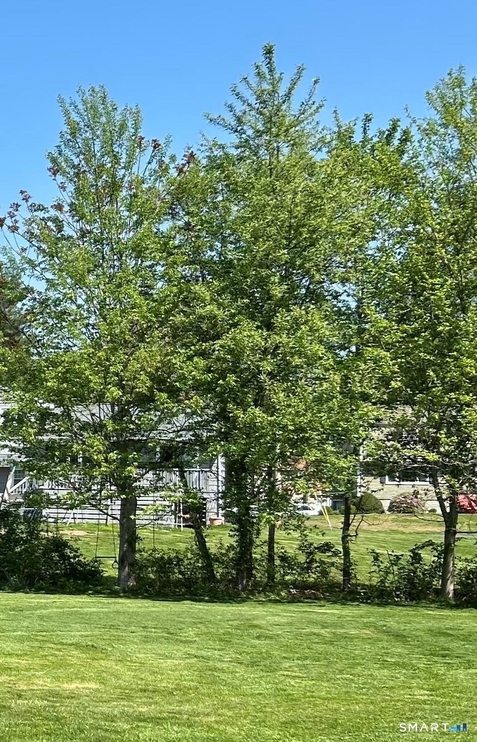 39 Zephyr Road Trumbull, CT 06611 - Photo 36 of 36 a view of a backyard with large trees