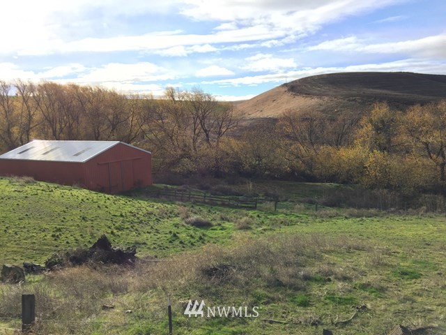 245 Messner Road Dayton, WA 99328 - Photo 24 of 30 a view of a yard