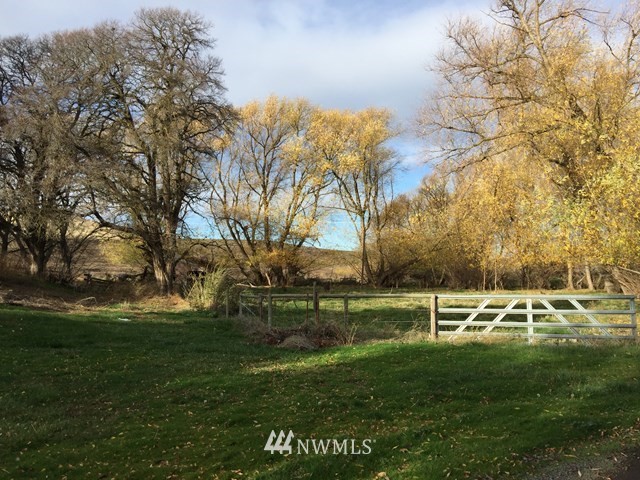 245 Messner Road Dayton, WA 99328 - Photo 29 of 30 a view of park
