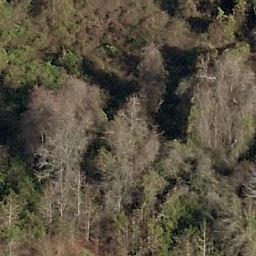 0 Dick Singleton Road Charleston, SC 29412 - Photo 1 of 1 Pic