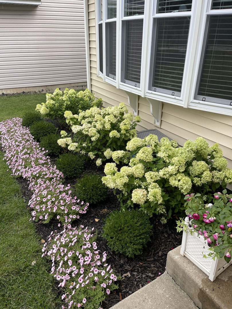 N081 Pleasant Hill Road Wheaton, IL 60187 - Photo 26 of 28 Gallery Image 26