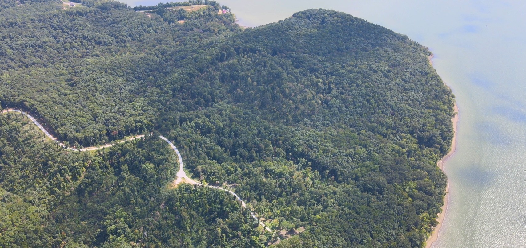 71 Overlook Trail Stewart, TN 37175 - Photo 1 of 2 a view of a dry yard with trees