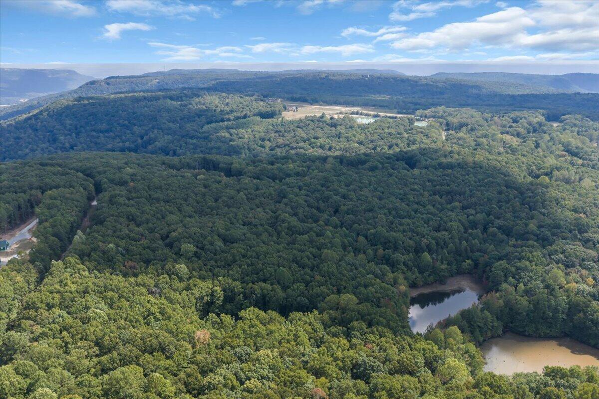 0 Bolton Point Road South Pittsburg, TN 37380 - Photo 15 of 22 11-DJI_20261001122236_0392_D