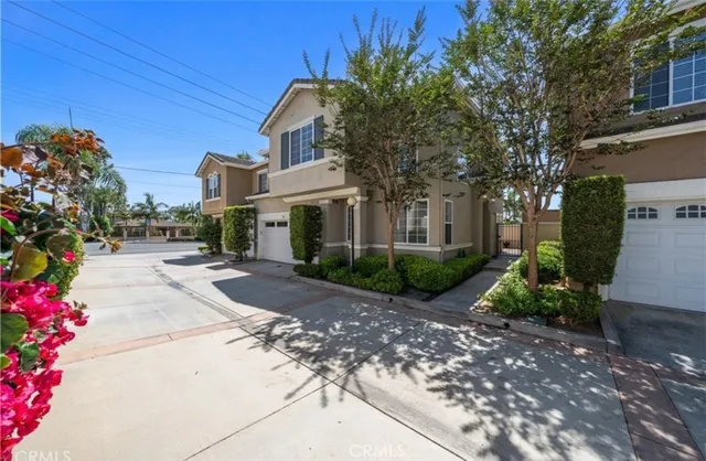 a view of a street with potted plants and a large tree
