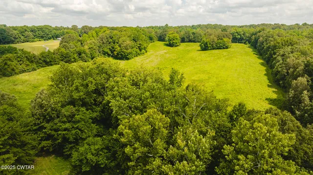 a view of lake view with large trees