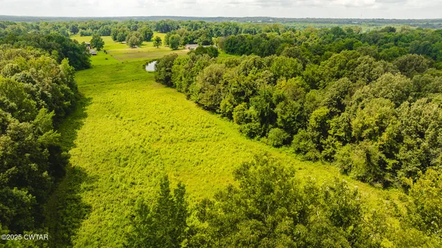 a view of a yard with plants