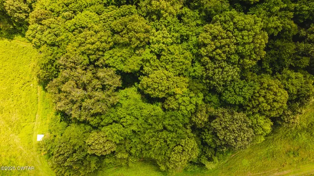 a view of an ocean view of a swimming pool