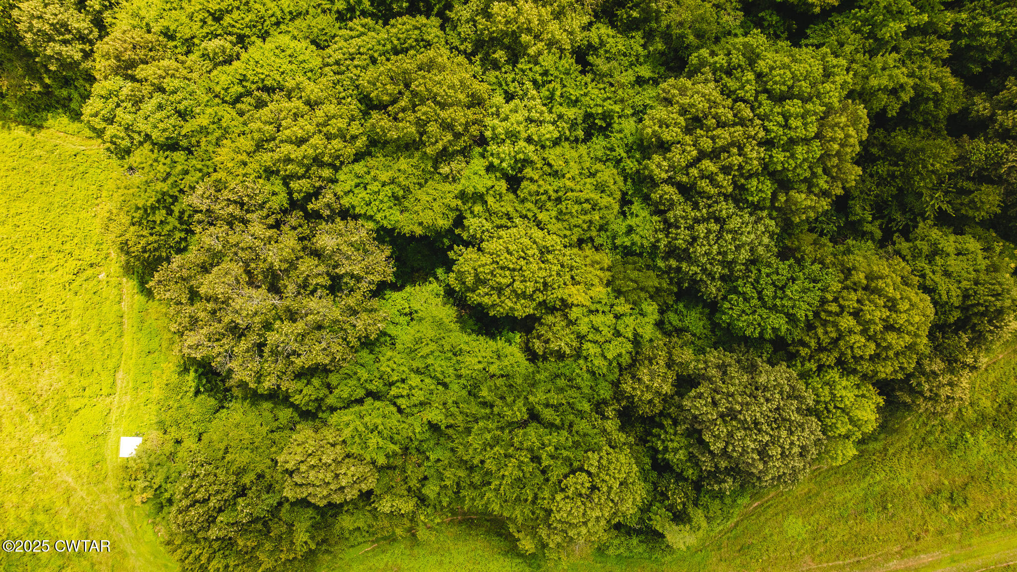 110 South J Hickerson Road Trenton, TN 38382 - Photo 15 of 42