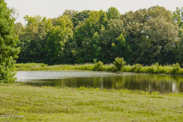 a view of yard and mountain view