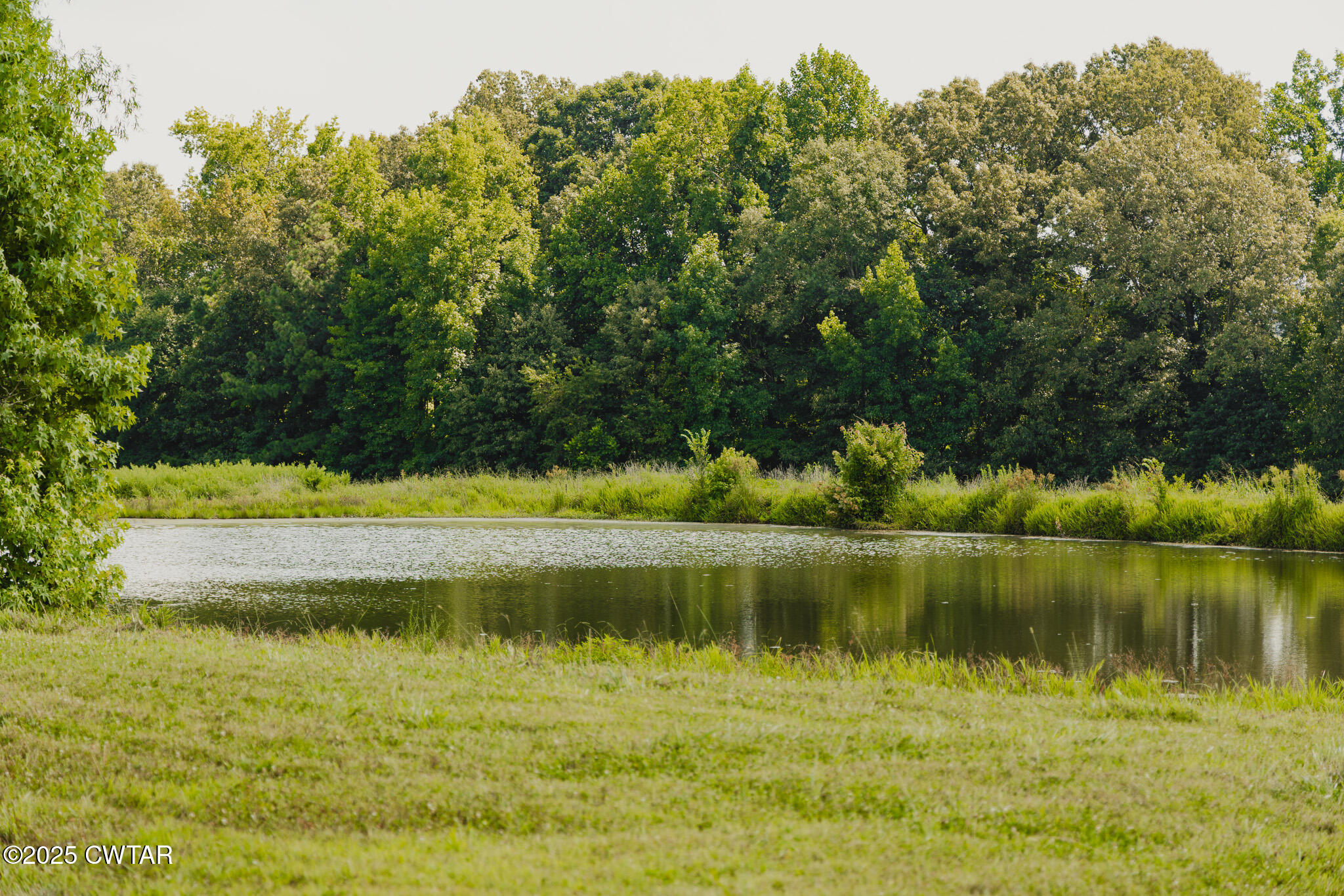 110 South J Hickerson Road Trenton, TN 38382 - Photo 21 of 42 a view of a lake with a yard and trees in the background