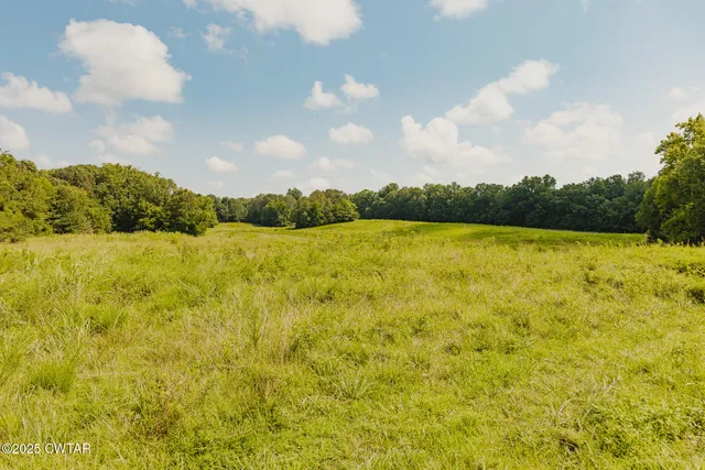 a view of yard with swimming pool and green space