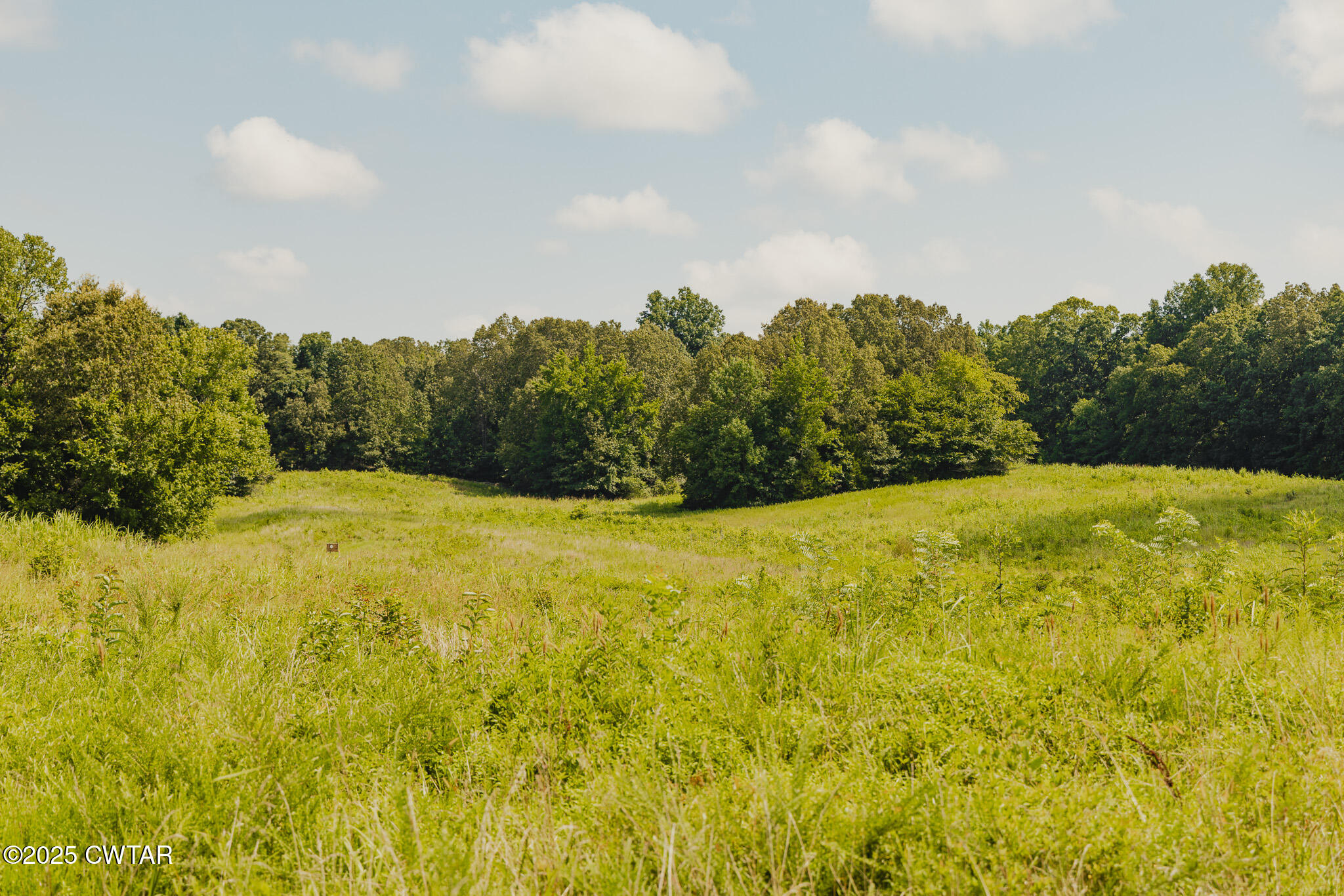 110 South J Hickerson Road Trenton, TN 38382 - Photo 24 of 42 a view of yard and mountain view