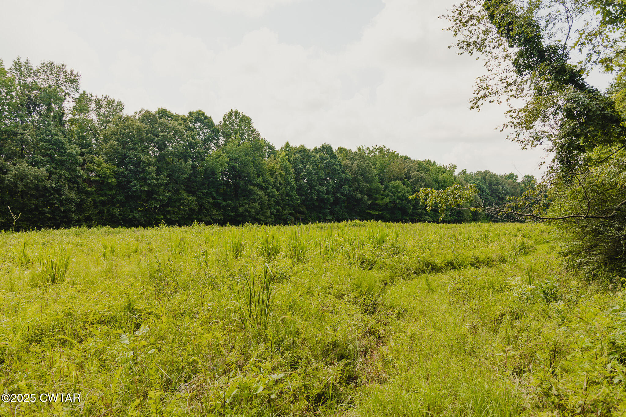 110 South J Hickerson Road Trenton, TN 38382 - Photo 26 of 42 a view of yard with swimming pool and green space