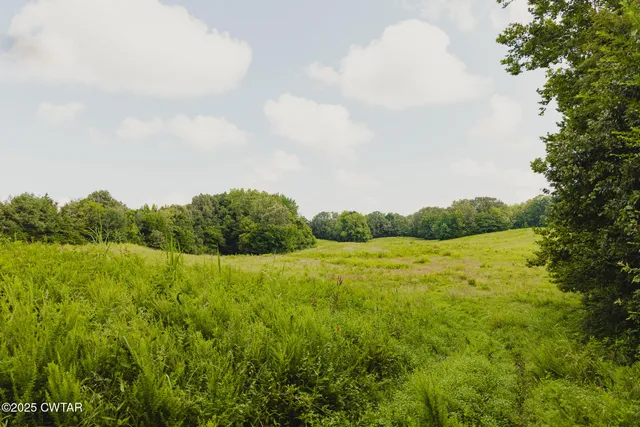 a view of a big yard with lots of green space