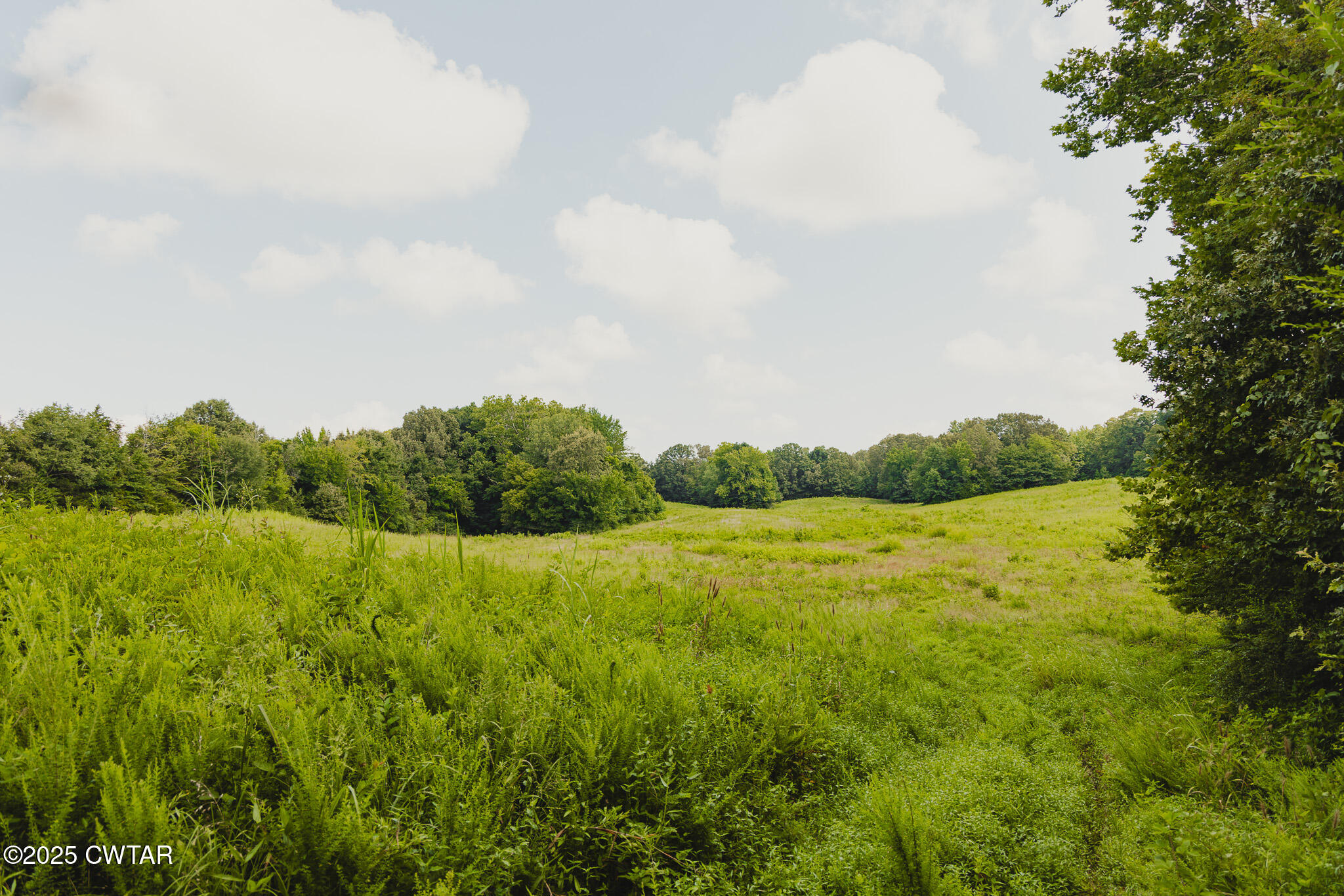 110 South J Hickerson Road Trenton, TN 38382 - Photo 28 of 42 a view of an ocean and a mountain