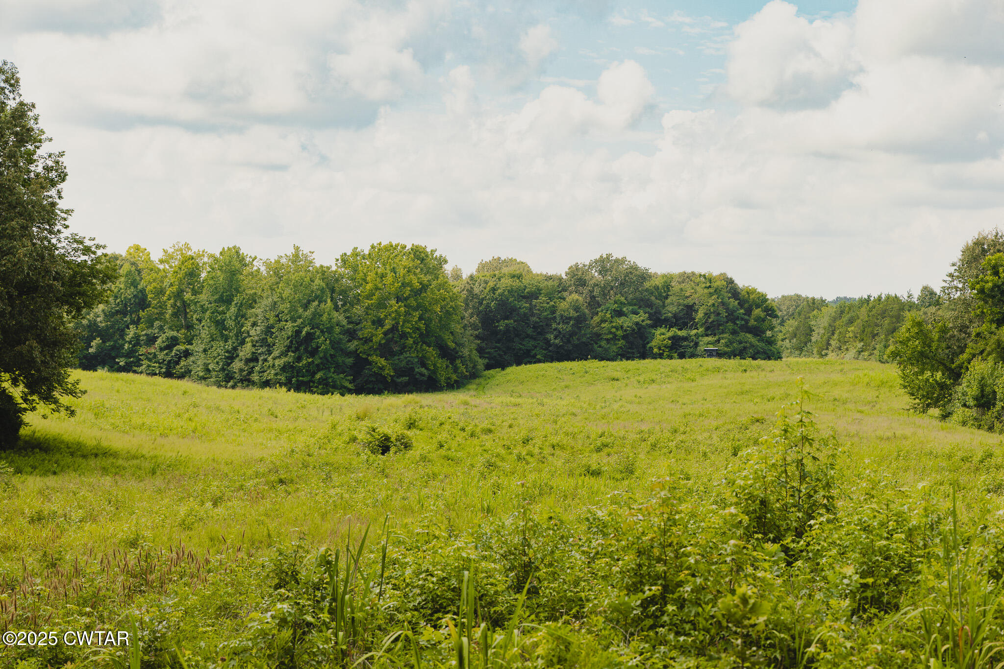 110 South J Hickerson Road Trenton, TN 38382 - Photo 31 of 42 a view of a big yard with lots of green space