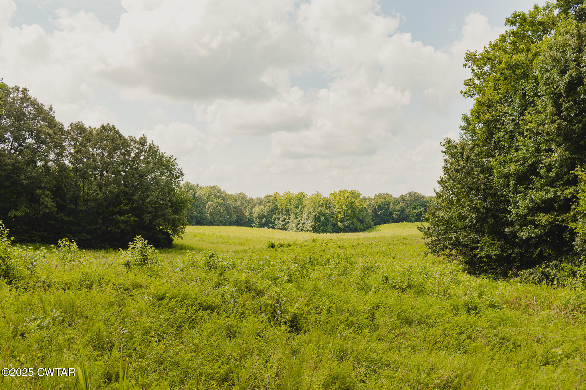 110 South J Hickerson Road Trenton, TN 38382 - Photo 33 of 42 a view of an ocean