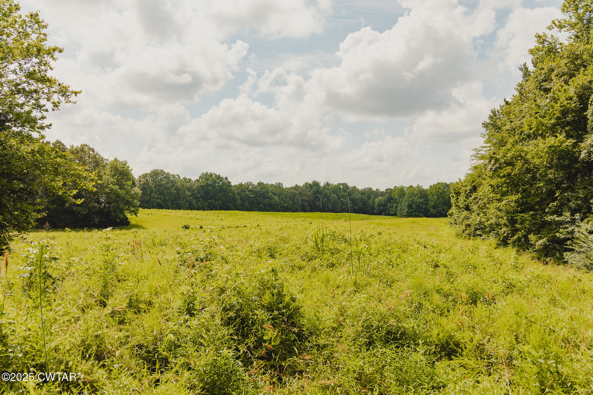 110 South J Hickerson Road Trenton, TN 38382 - Photo 34 of 42 a view of lake and mountain