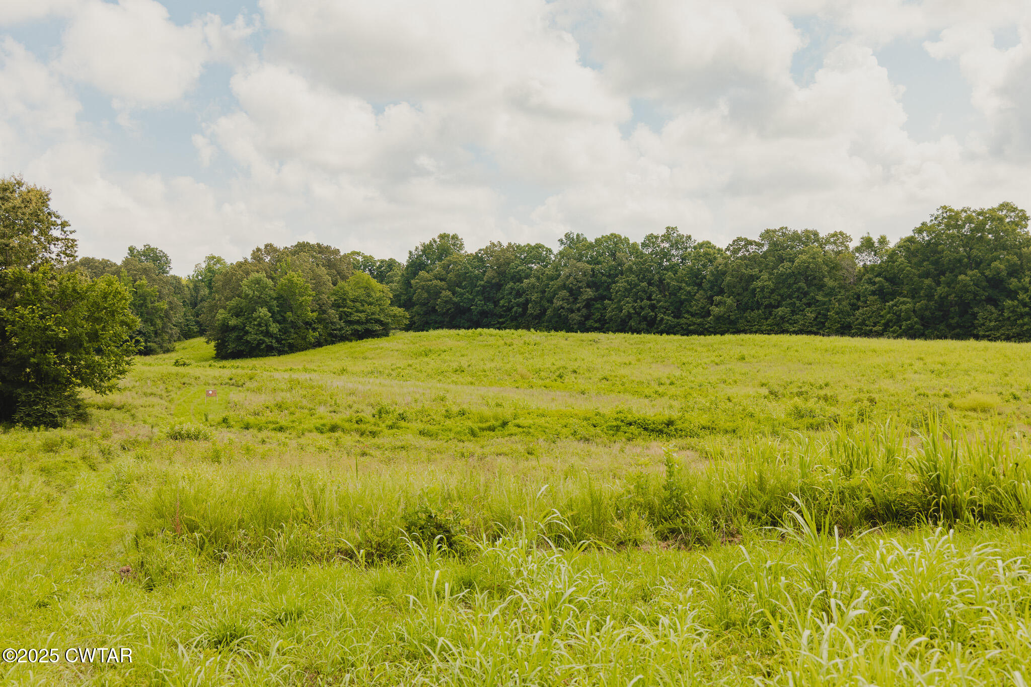 110 South J Hickerson Road Trenton, TN 38382 - Photo 36 of 42 a view of ocean view with beach