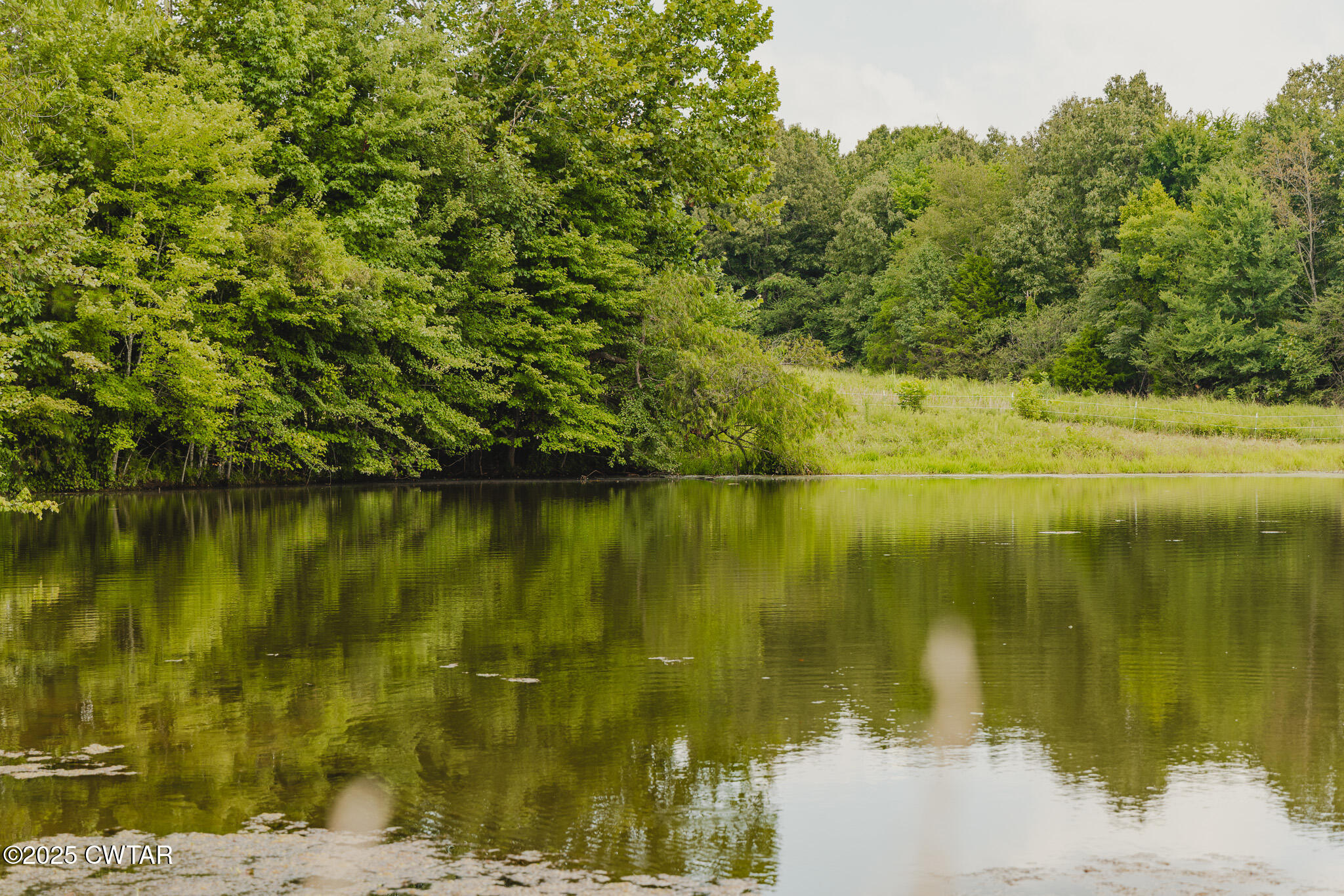 110 South J Hickerson Road Trenton, TN 38382 - Photo 40 of 42 a view of lake