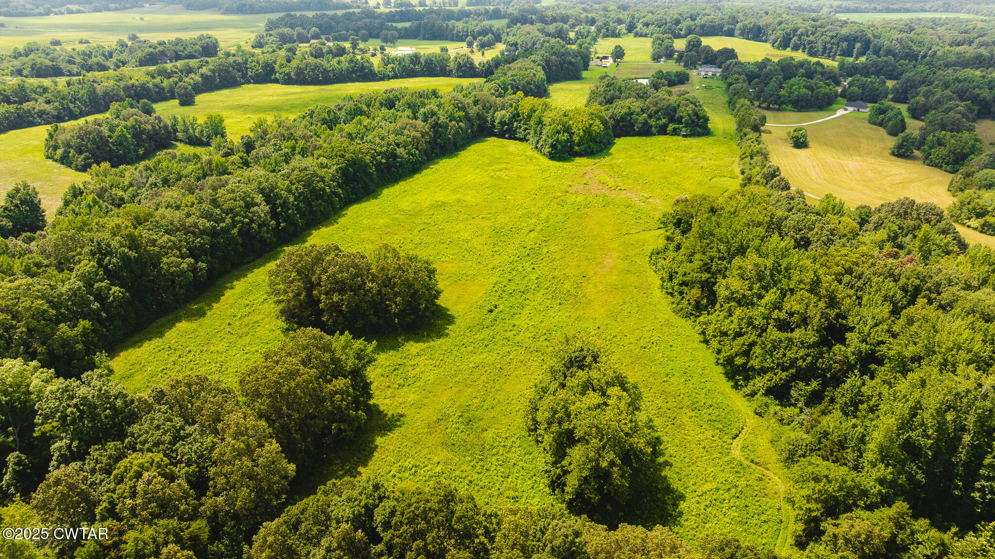 110 South J Hickerson Road Trenton, TN 38382 - Photo 6 of 42 a view of a garden