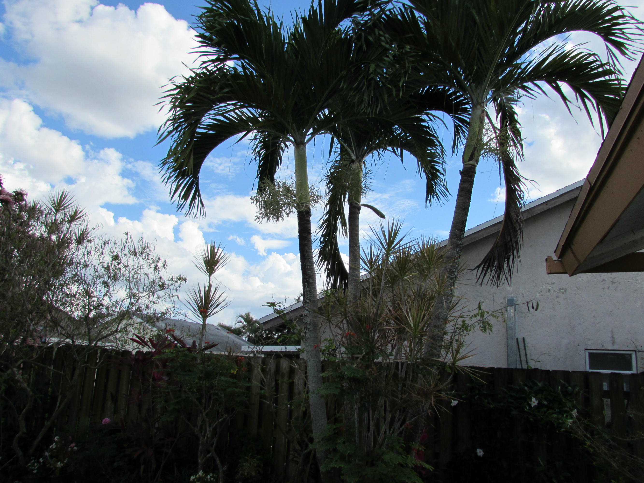 19108 Winslow Terrace Boca Raton, FL 33434 - Photo 63 of 67 house and kids 126