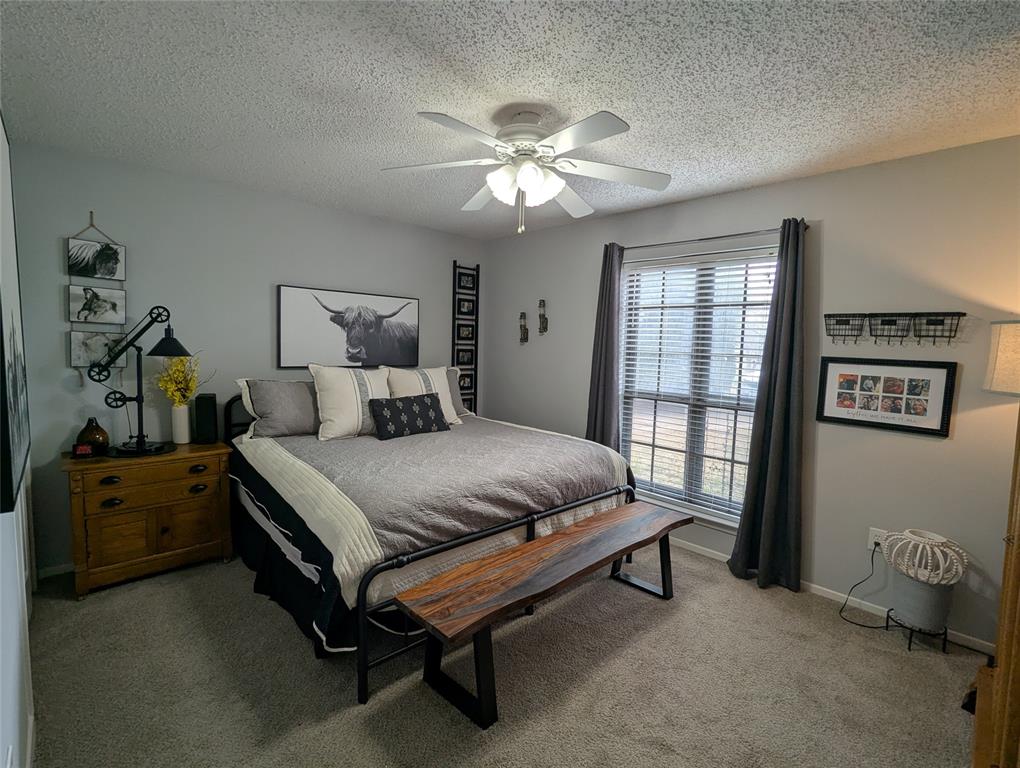 2827 Cross Timbers Drive Irving, TX 75060 - Photo 16 of 23