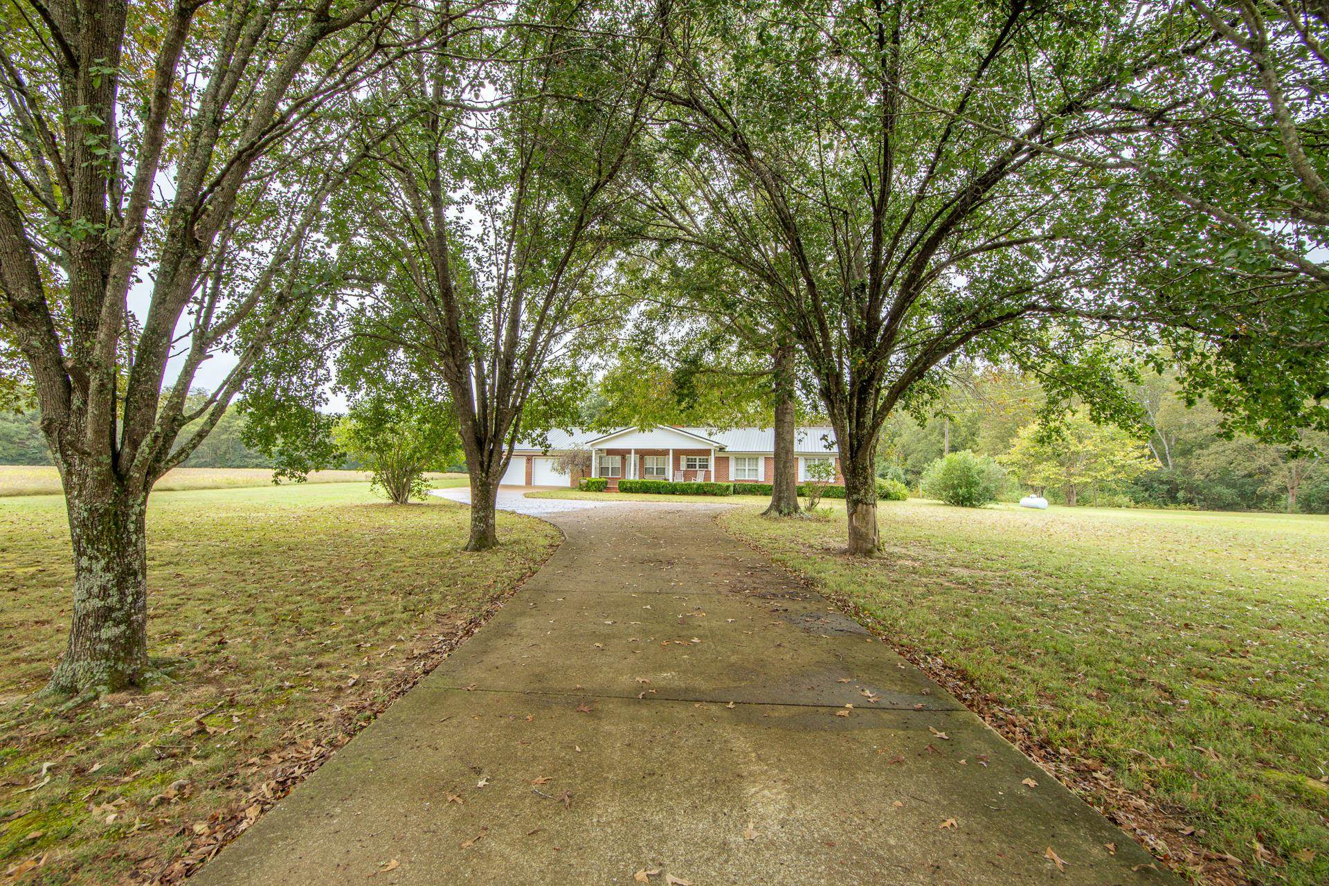 4985 Saltillo Road Saltillo, TN 38370 - Photo 4 of 40