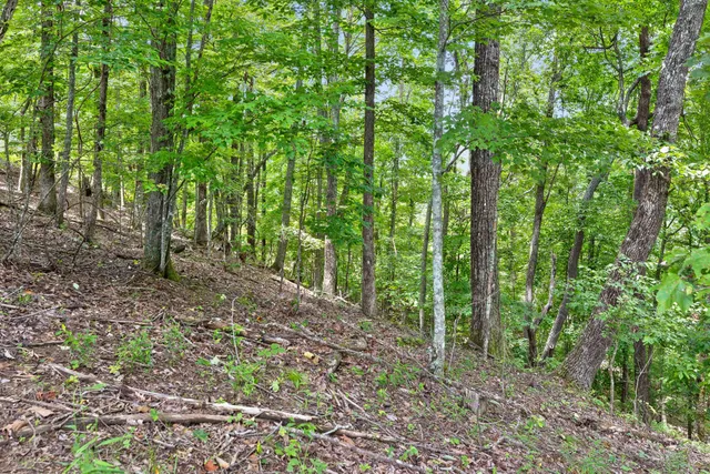 $80,000 | 0 Preservation Drive, South Pittsburg, TN 37380