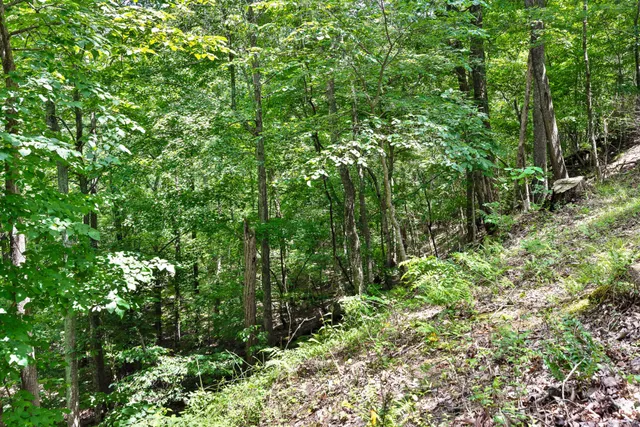 $80,000 | 0 Preservation Drive, South Pittsburg, TN 37380