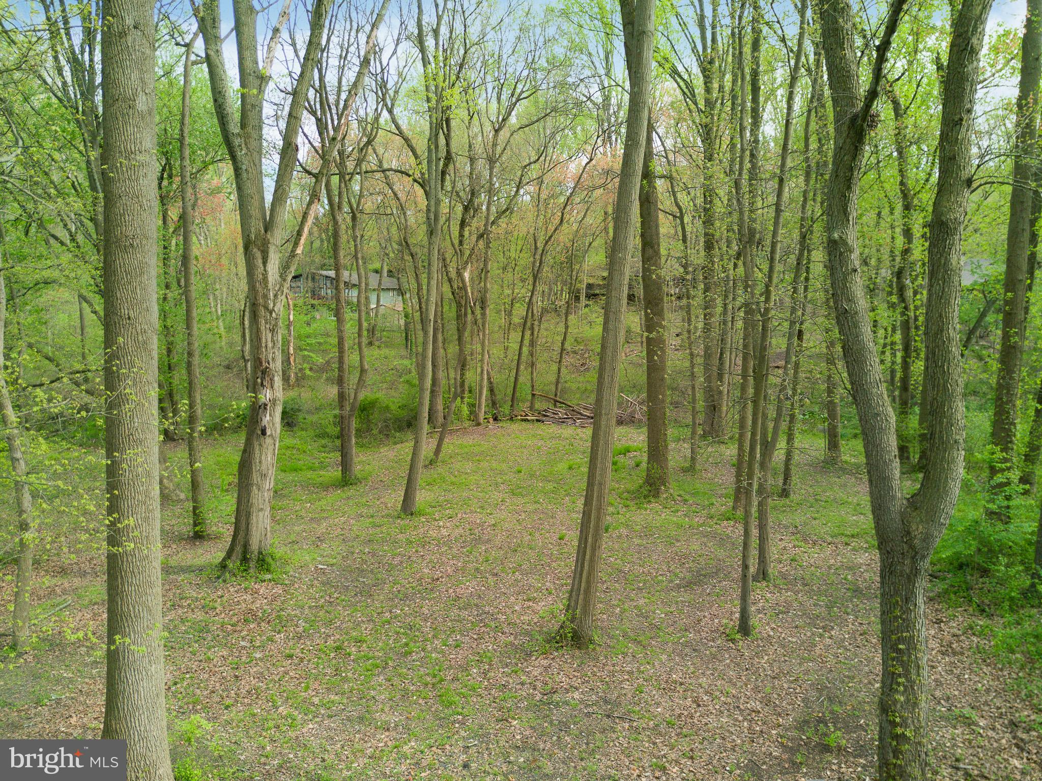 15 Springhill Road Mantua, NJ 08051 - Photo 31 of 34