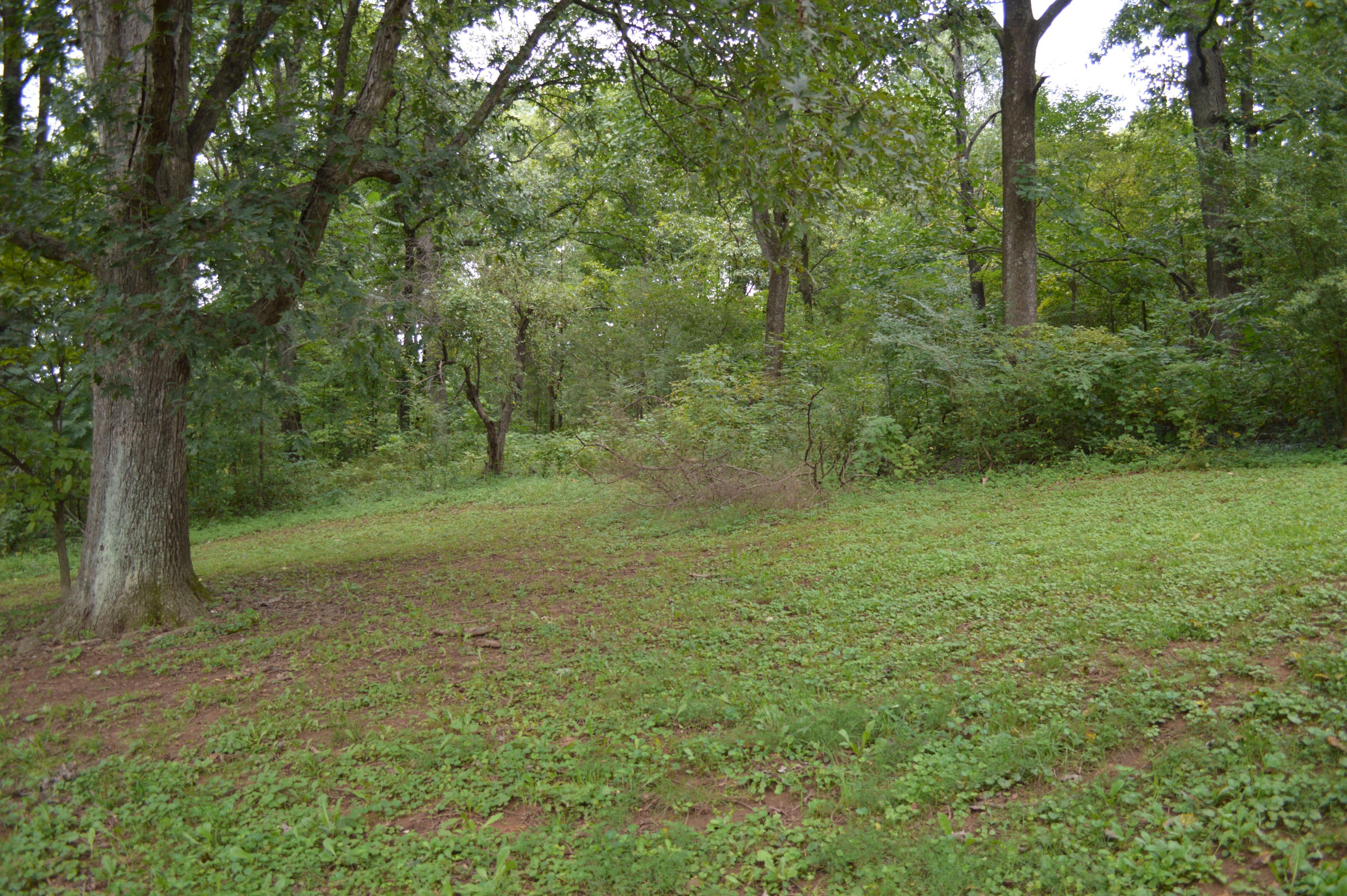 2372 Rutrough Road Southeast Roanoke, VA 24014 - Photo 14 of 19 DSC_0378