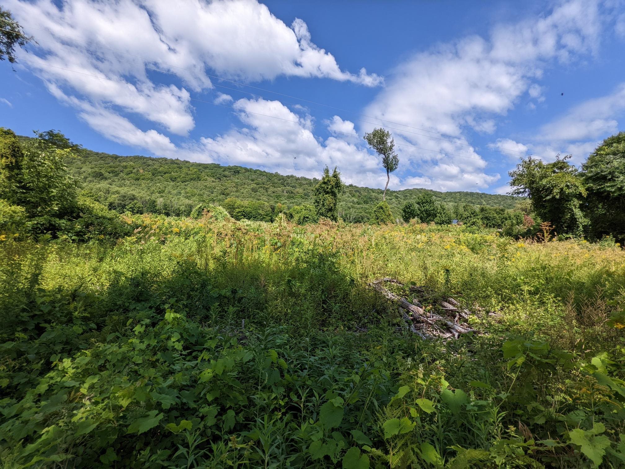98 Mountain View Road Tinmouth, VT 05757 - Photo 1 of 23 Gallery Image 1