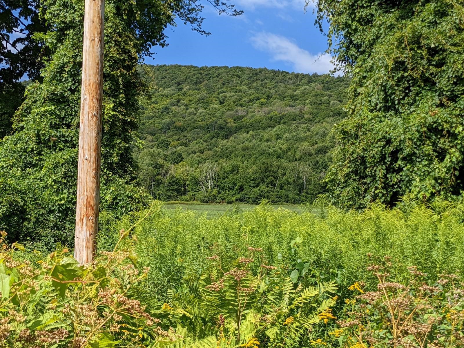 98 Mountain View Road Tinmouth, VT 05757 - Photo 13 of 23 Gallery Image 13