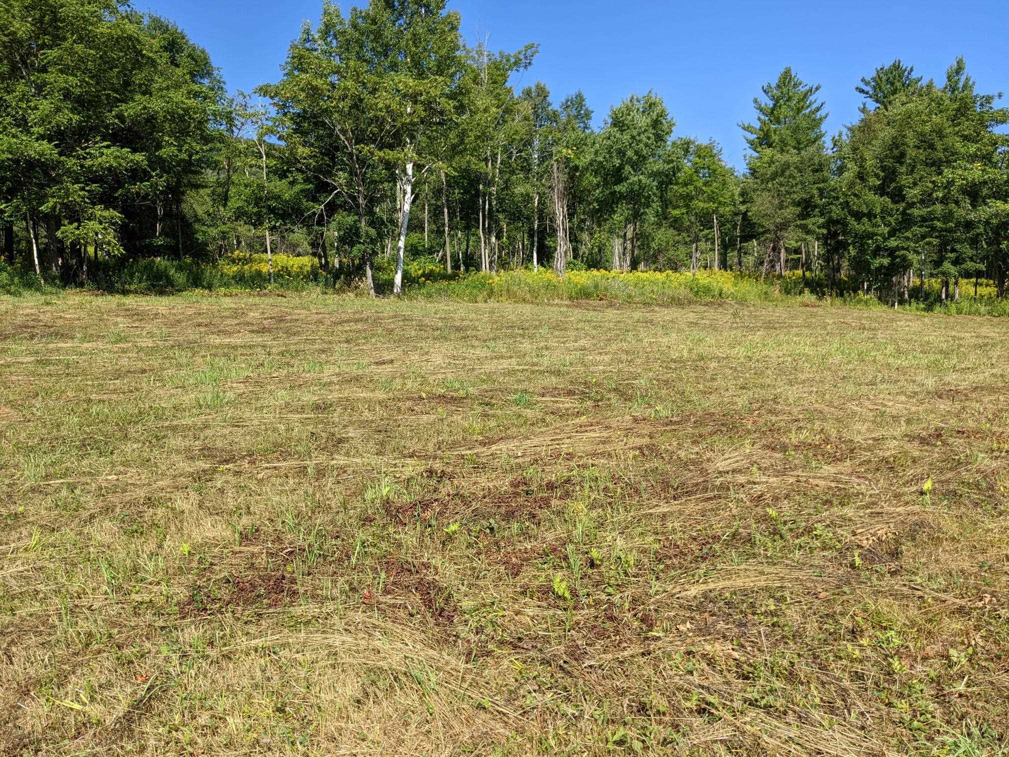 98 Mountain View Road Tinmouth, VT 05757 - Photo 23 of 23 Gallery Image 23