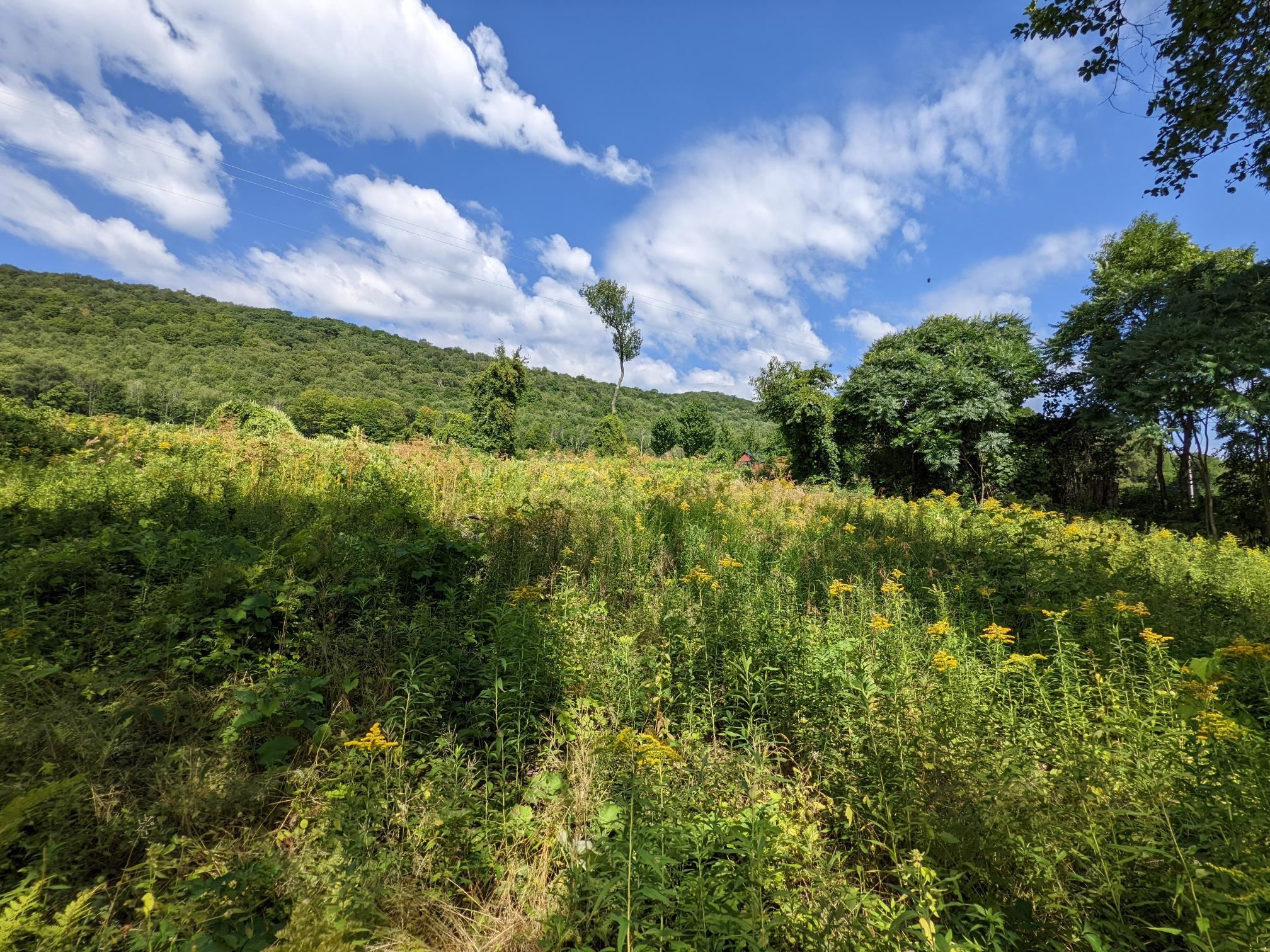 98 Mountain View Road Tinmouth, VT 05757 - Photo 4 of 23 Gallery Image 4