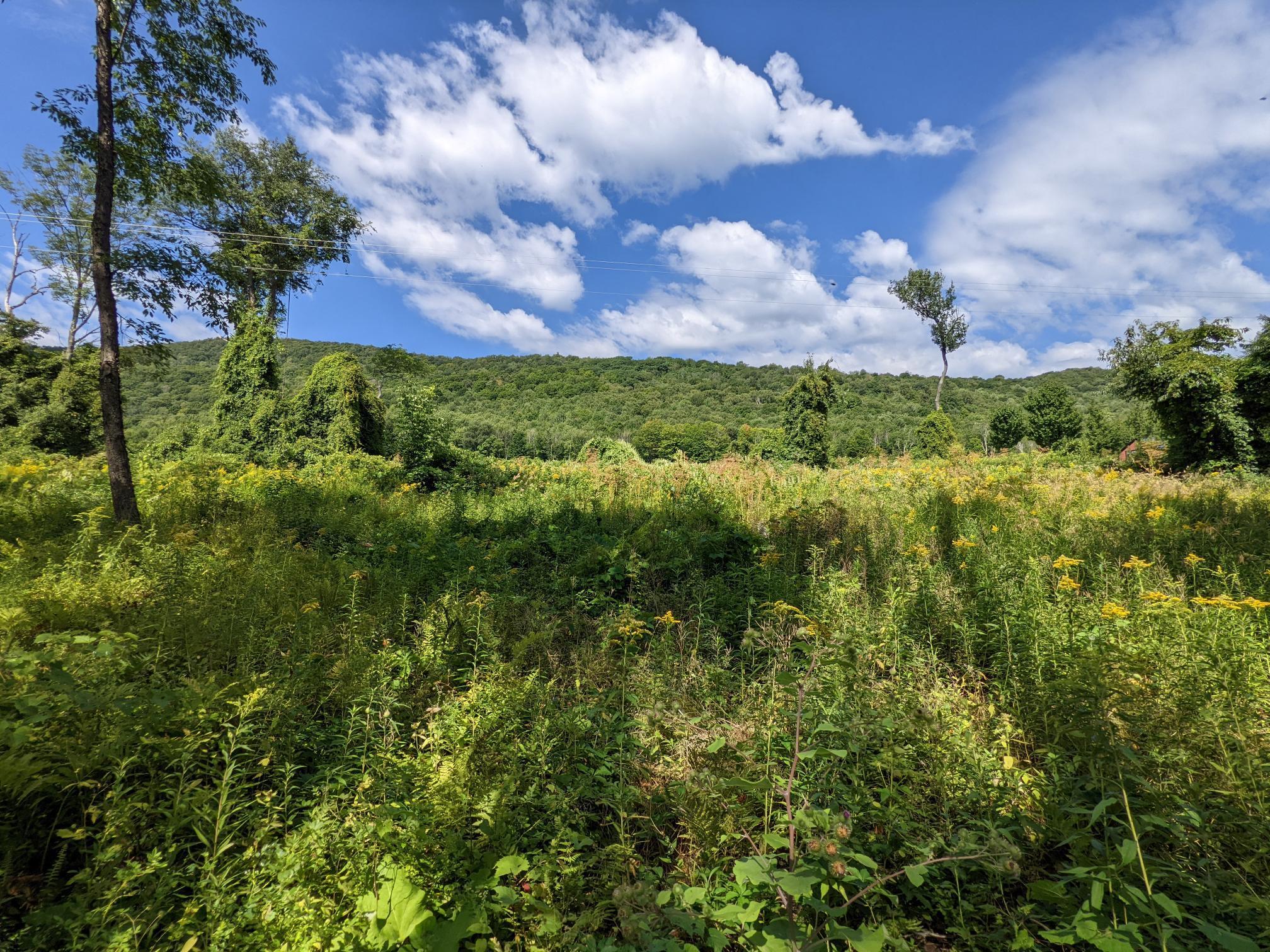 98 Mountain View Road Tinmouth, VT 05757 - Photo 5 of 23 Gallery Image 5
