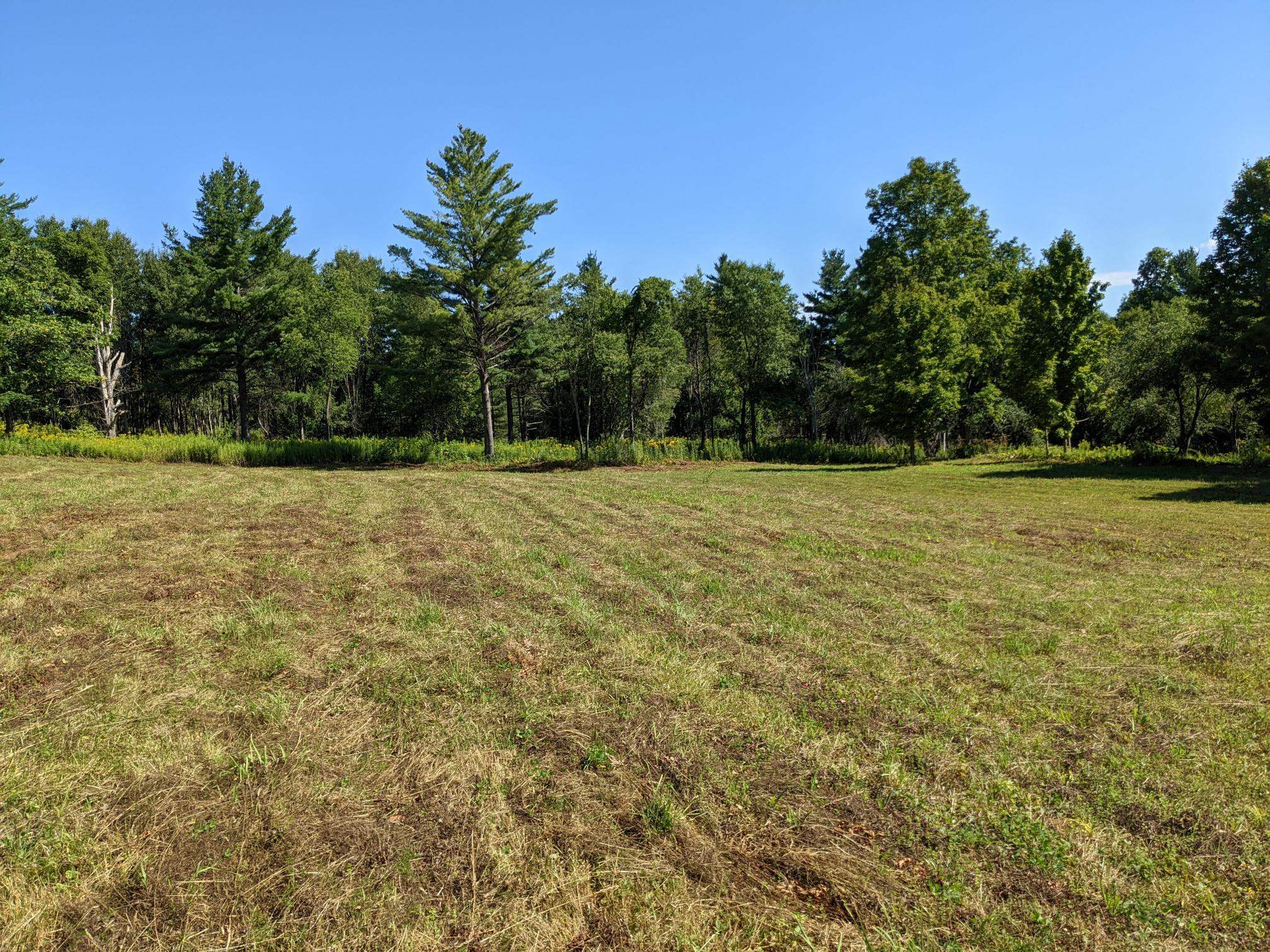 98 Mountain View Road Tinmouth, VT 05757 - Photo 7 of 23 Gallery Image 7