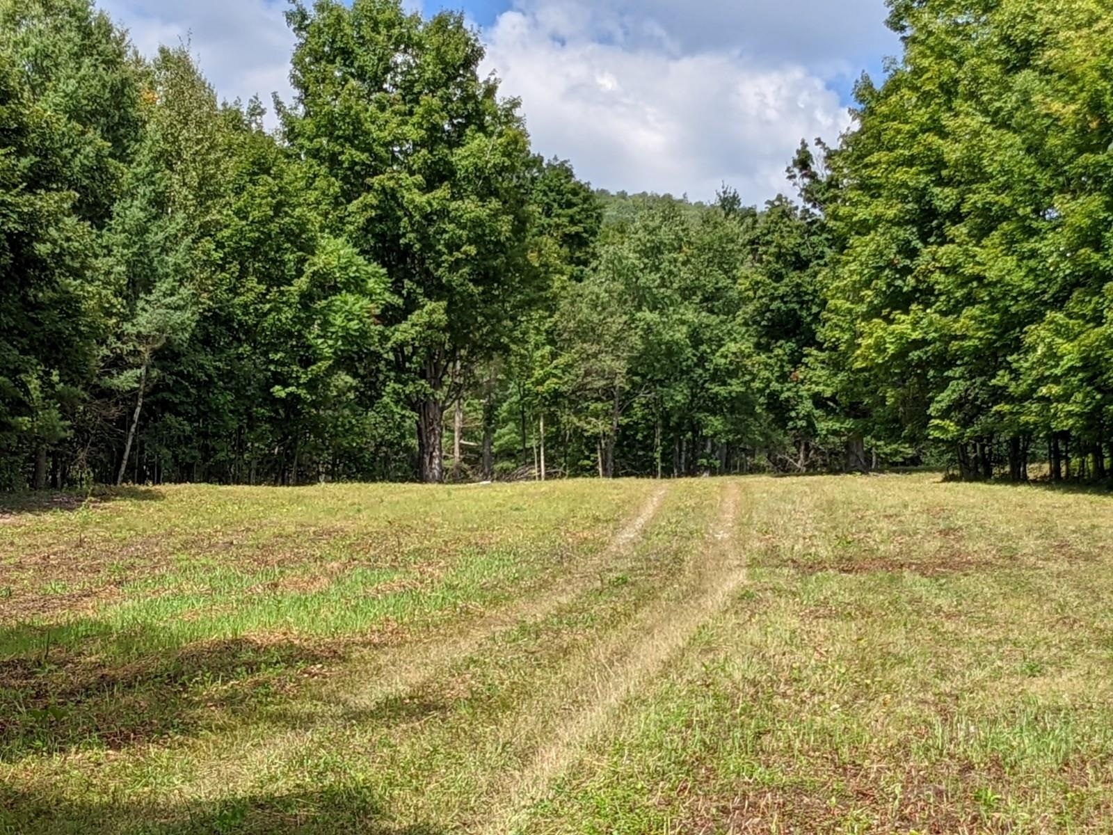 98 Mountain View Road Tinmouth, VT 05757 - Photo 8 of 23 Gallery Image 8