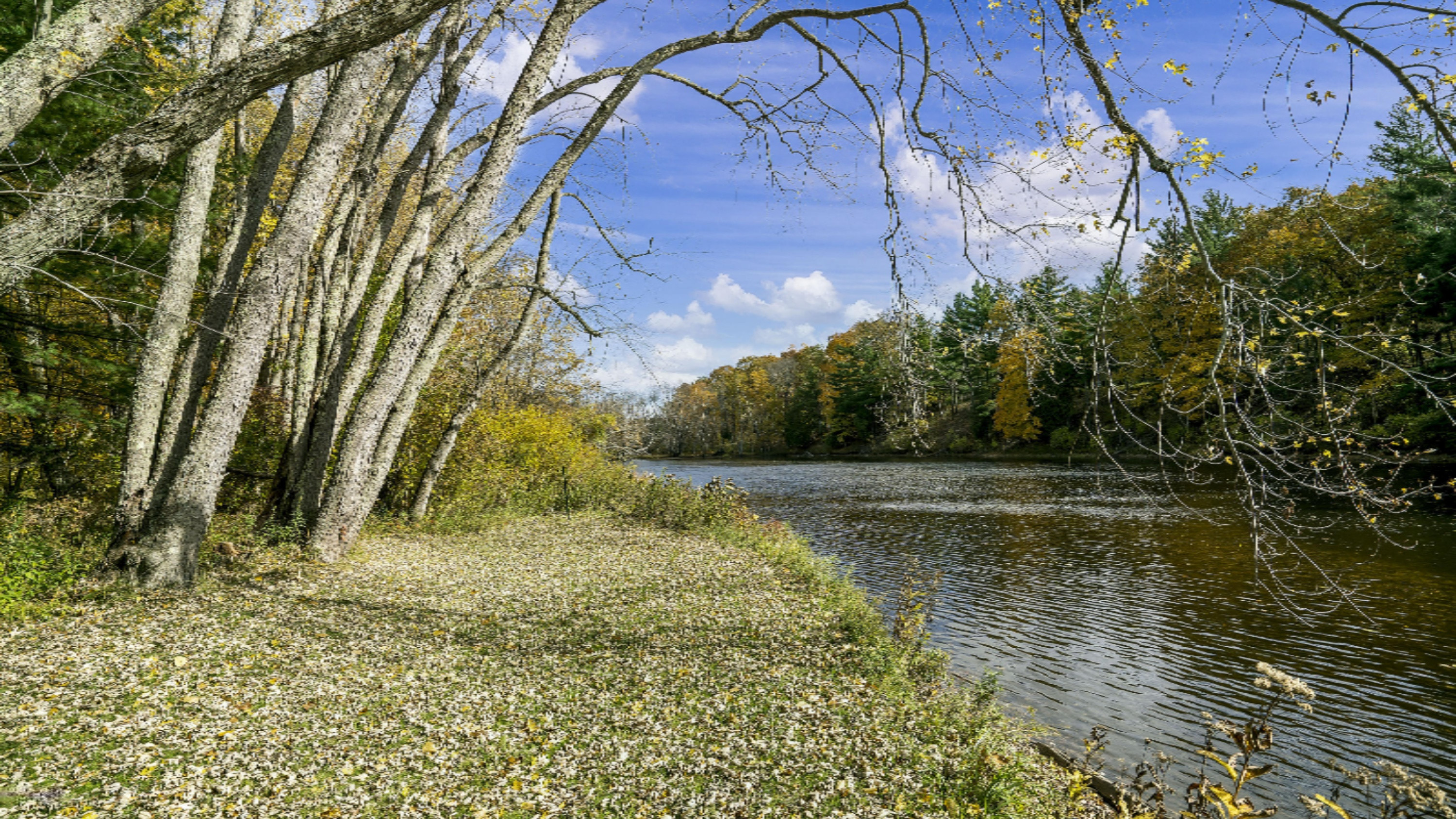 17575 Old Logging Road Hersey, MI 49639 - Photo 3 of 38 DSC00653-r