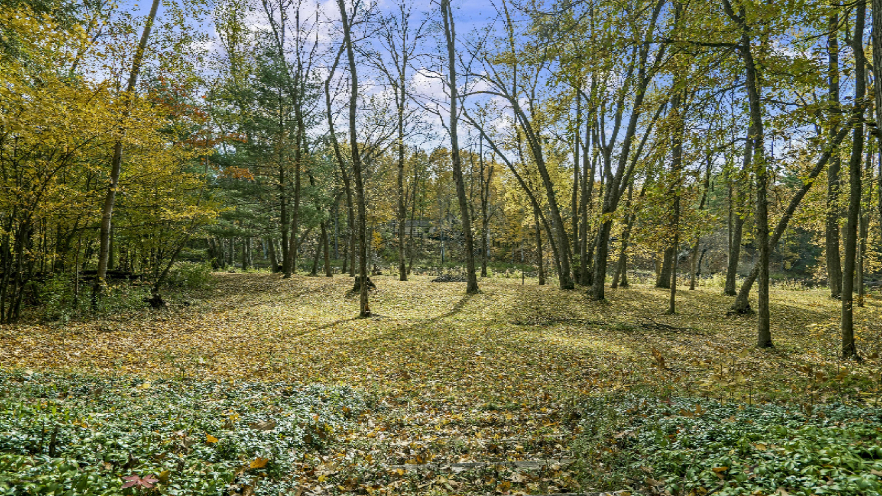 17575 Old Logging Road Hersey, MI 49639 - Photo 33 of 38 DSC00650-r
